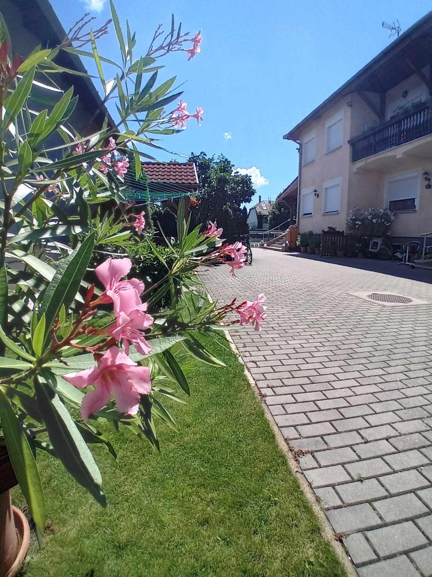 Acs Apartman Heviz Exterior photo